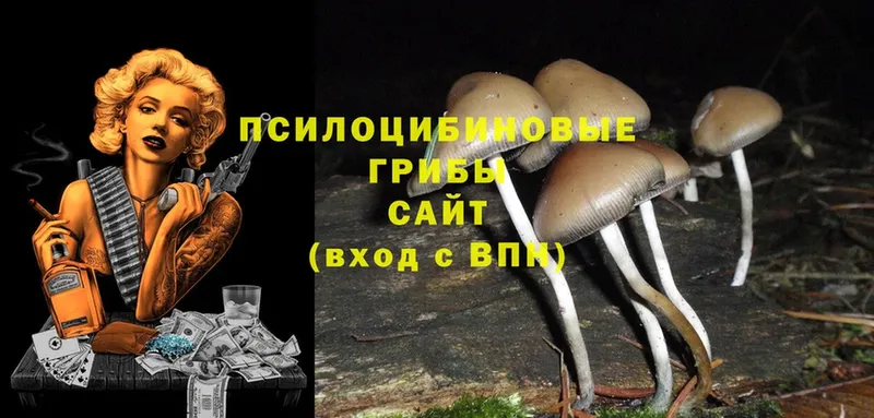 мориарти формула  Дудинка  Псилоцибиновые грибы Cubensis  кракен рабочий сайт 